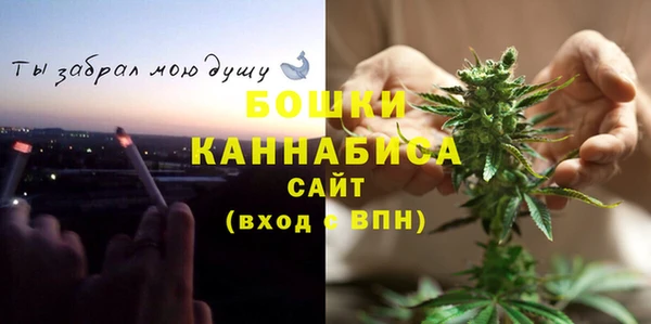 ПСИЛОЦИБИНОВЫЕ ГРИБЫ Богородск