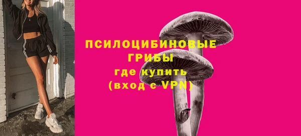 шишки Белокуриха