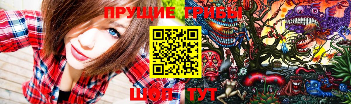 что такое наркотик  Псилоцибиновые грибы Magic Shrooms  Вход с VPN  Верхняя Пышма 